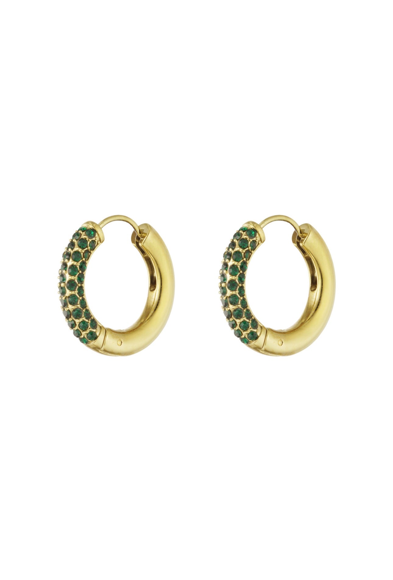Hoops SHINY