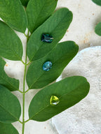 CHARMÈ CRYSTAL