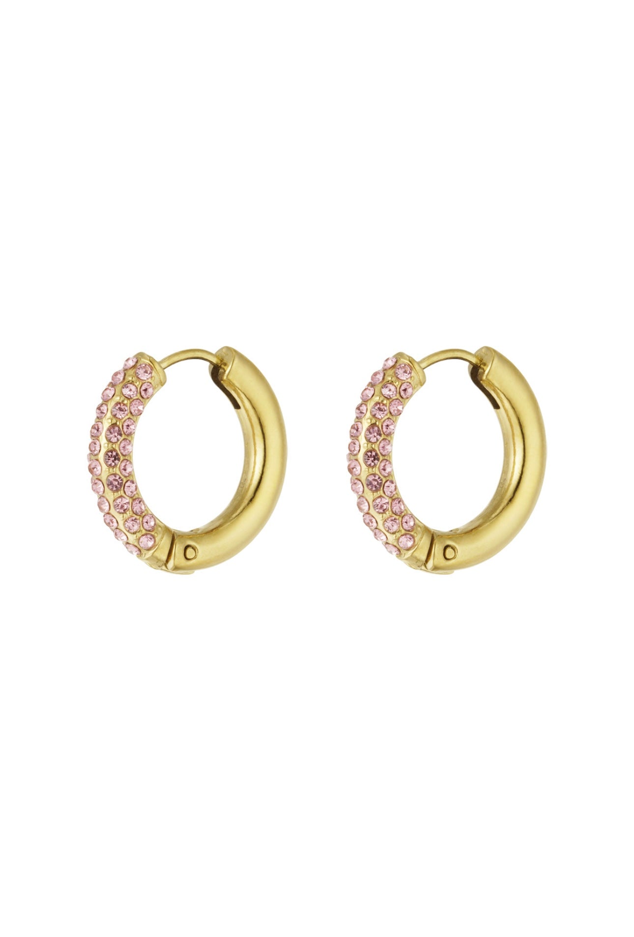 Hoops SHINY