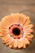 Tennis PINK BLOSSOM Argento