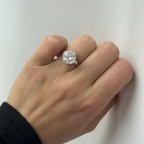 Anello ICY - versione professionale